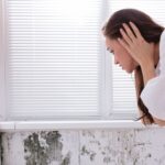 Moisissures et problèmes d'humidités dans la maison