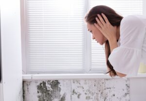 Moisissures et problèmes d'humidités dans la maison