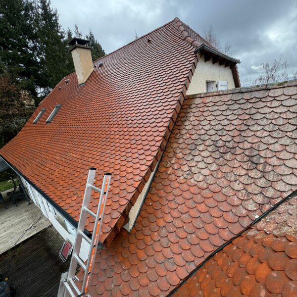traitement de toiture