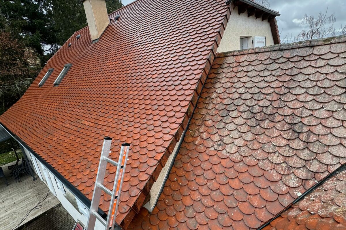 traitement de toiture